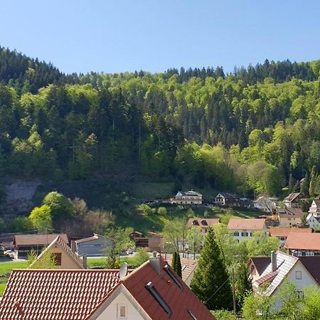 Ferienwohnung Wolfsschlucht Calw Ngoại thất bức ảnh