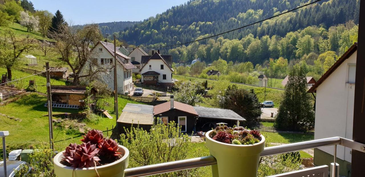 Ferienwohnung Wolfsschlucht Calw Ngoại thất bức ảnh
