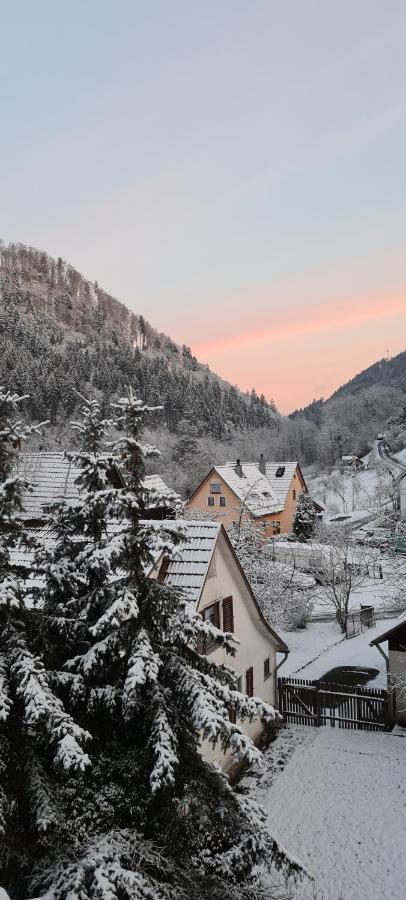 Ferienwohnung Wolfsschlucht Calw Ngoại thất bức ảnh